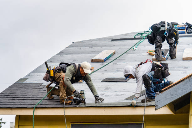 Professional Gutter Installation technician working in Nodaway, IA